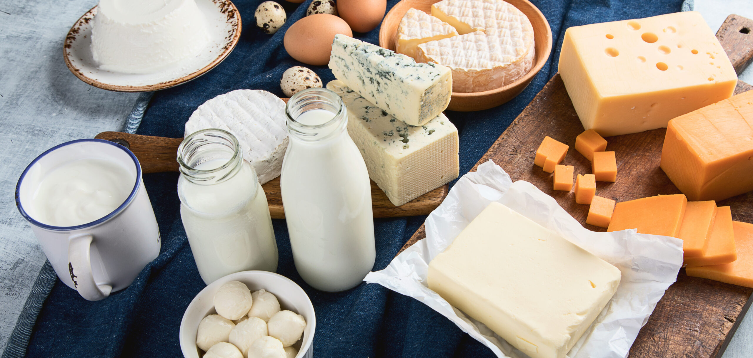 Digestive System Aided by Yogurt and Kefir Probiotics