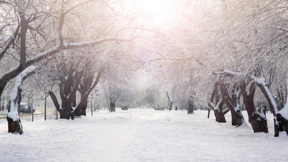 Winter Weather This Week