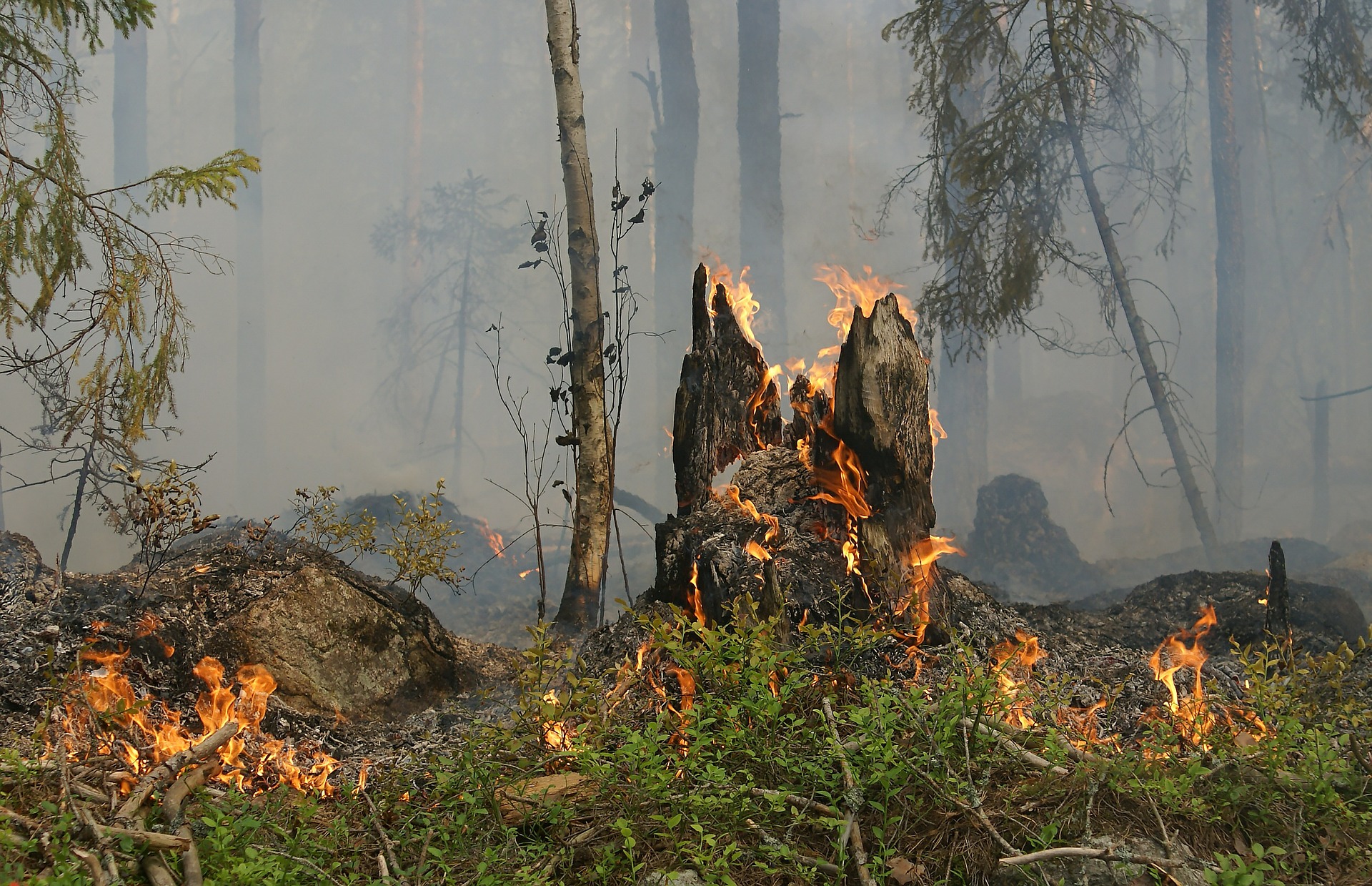 Use Care with Fire During Drought