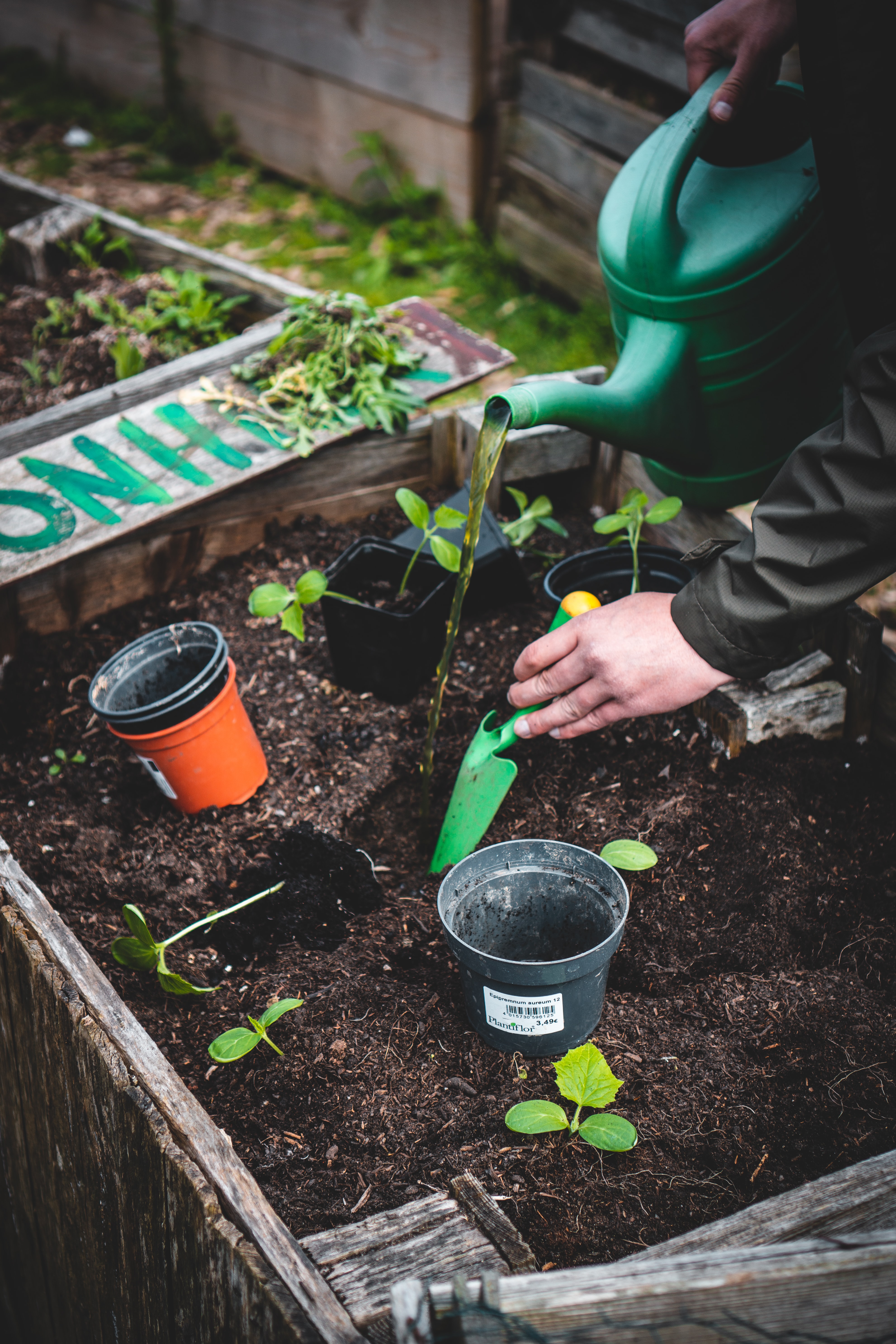 Gardening Classes Start in February