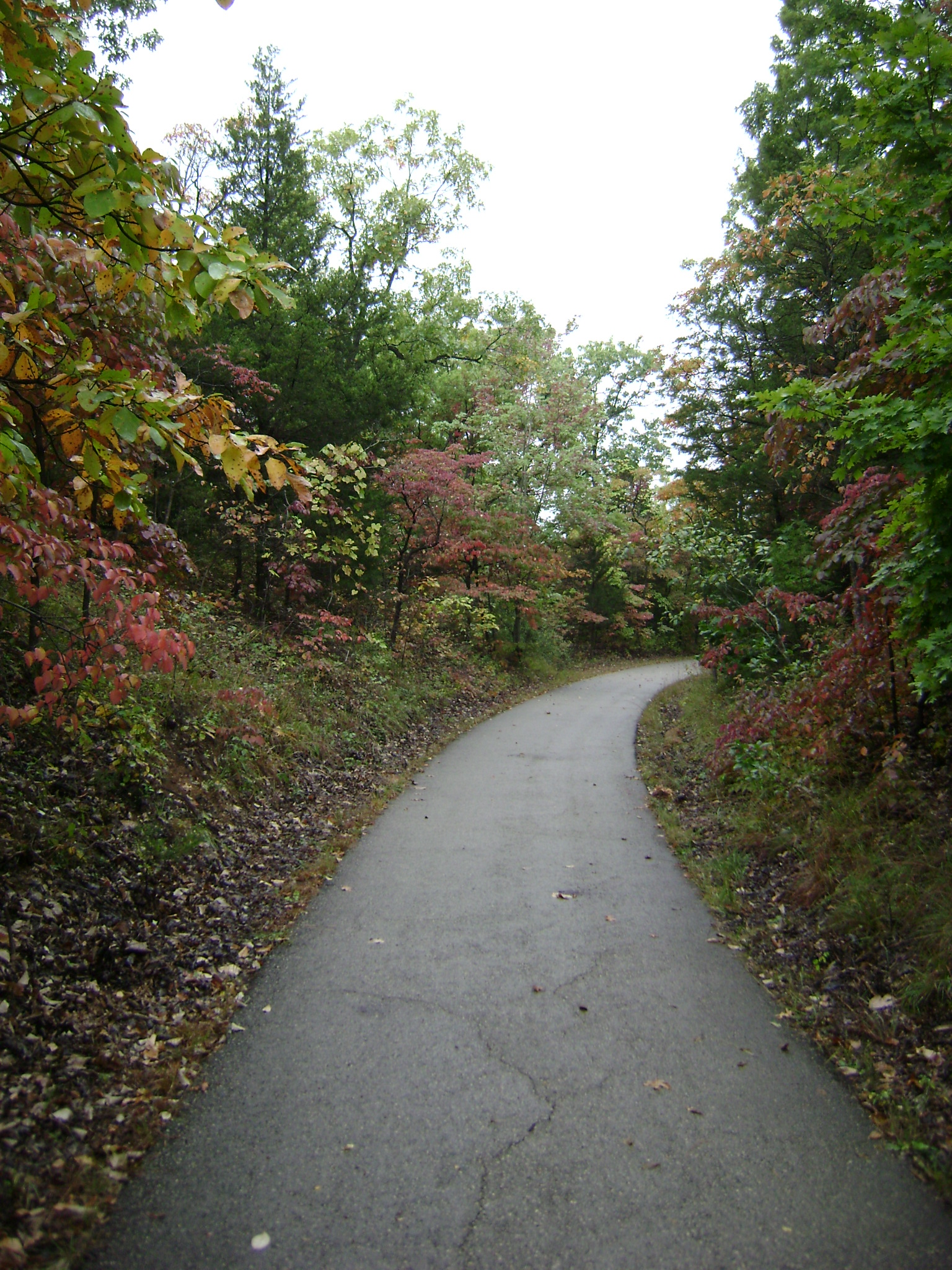 First day Hikes in the Area