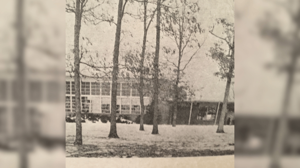 Busiek School Reunion Set for Saturday