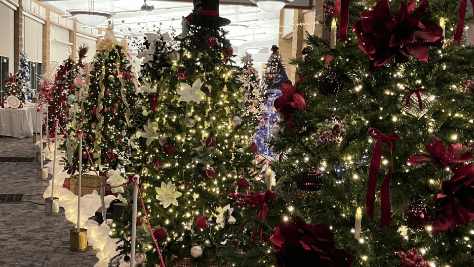 CASA Festival of Trees Raises Over $45,000 for Local Children