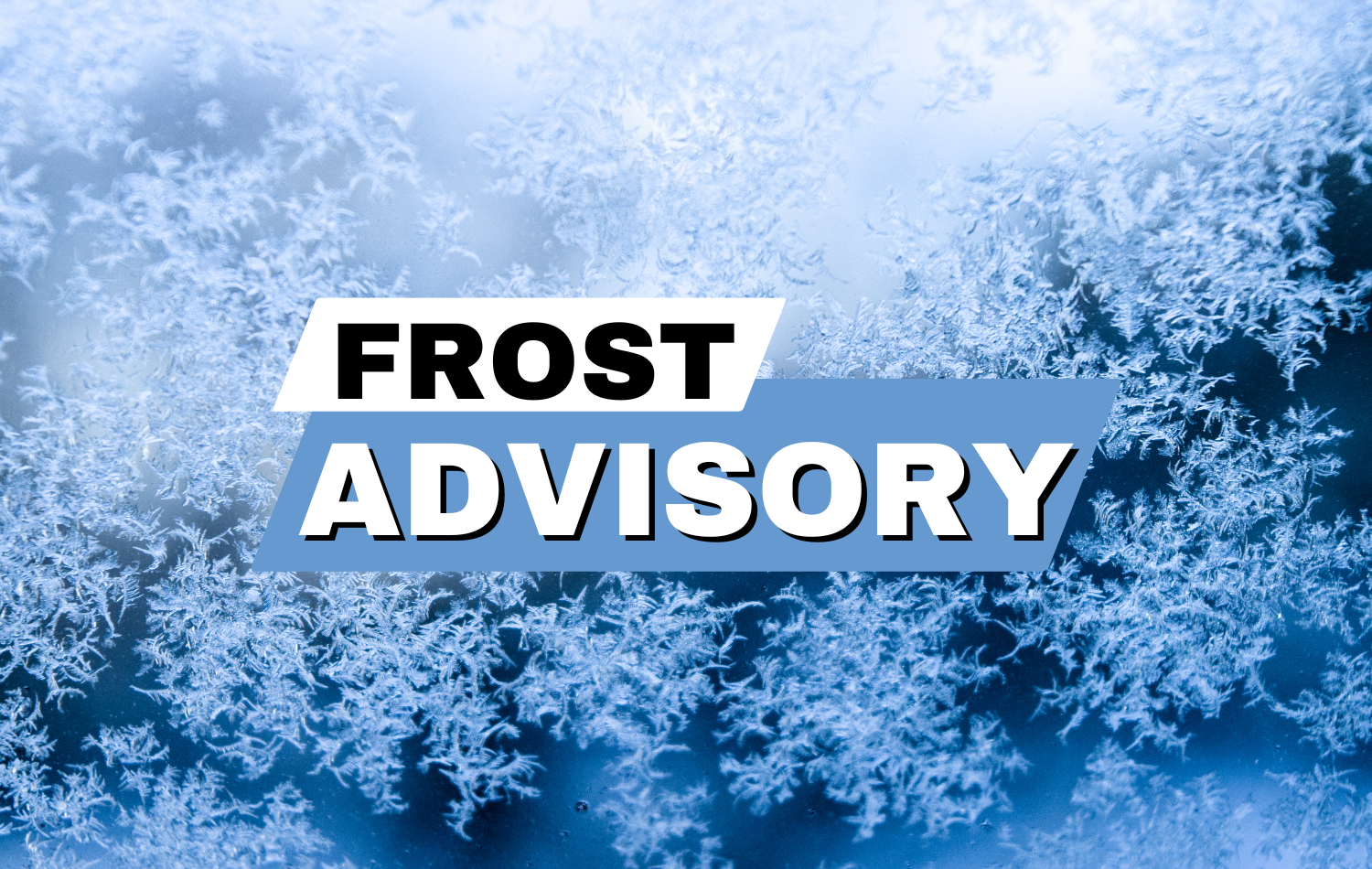 Frost Advisory Issued